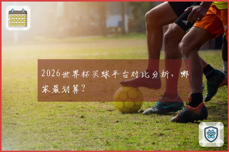 2026世界杯买球平台对比分析，哪家最划算？