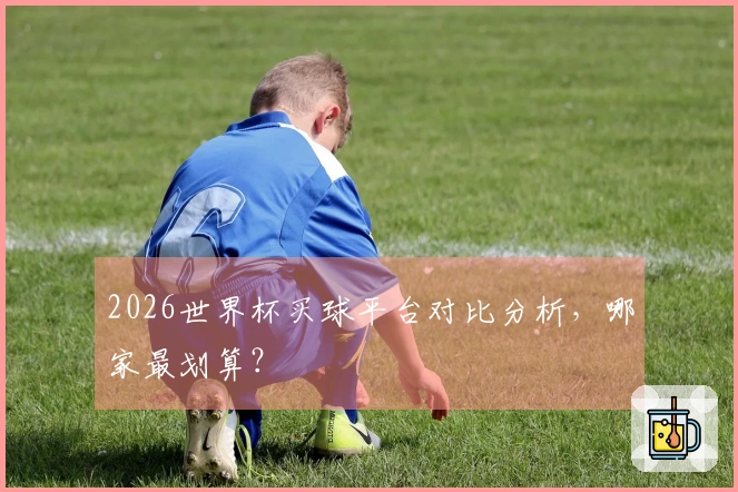 2026世界杯买球平台对比分析，哪家最划算？
