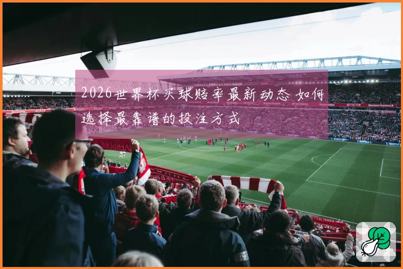 2026世界杯买球赔率最新动态 如何选择最靠谱的投注方式
