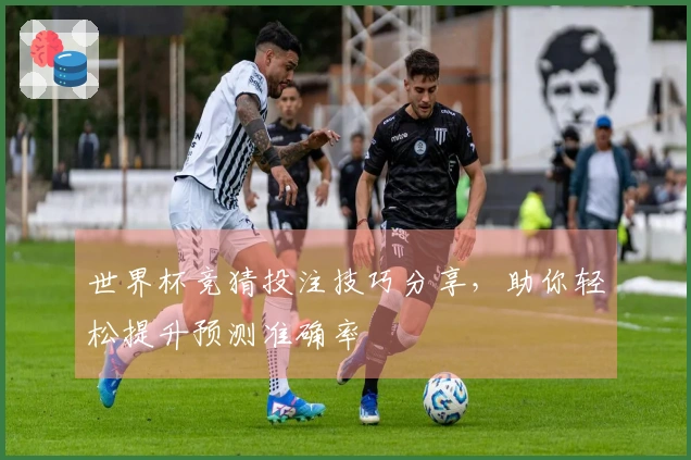 世界杯竞猜投注技巧分享，助你轻松提升预测准确率